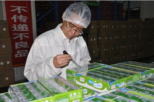 嚴(yán)控牛奶安全 伊利王永新的火眼金睛與食品流通管理之道