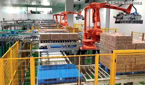 食品冷鏈物流 塑料托盤如何助力冷庫建設(shè)，守護(hù)冰淇淋好口感